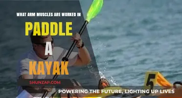 Paddle Power: Arm Muscles Engaged in Kayaking Explained