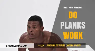 Plank Power: Unlocking Arm Muscle Engagement and Strength