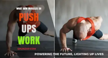 Push-Up Power: Targeted Arm Muscles for Strength and Tone