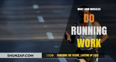 Running's Impact: Which Arm Muscles Are Engaged and Strengthened?