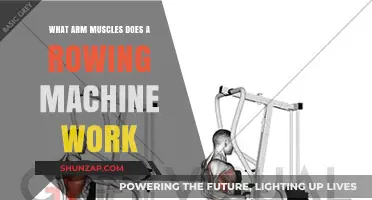 Rowing Machine Benefits: Targeted Arm Muscles for Strength and Tone