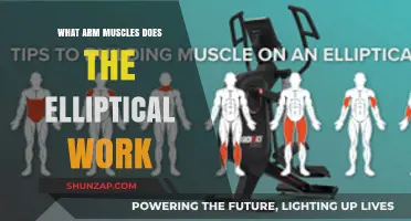 Elliptical Workout Benefits: Targeting Arm Muscles for Strength and Tone