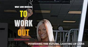 Sculpt Strong Arms: Targeting Key Muscles for Optimal Results