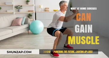 Effective At-Home Muscle-Building Exercises for Strength and Growth