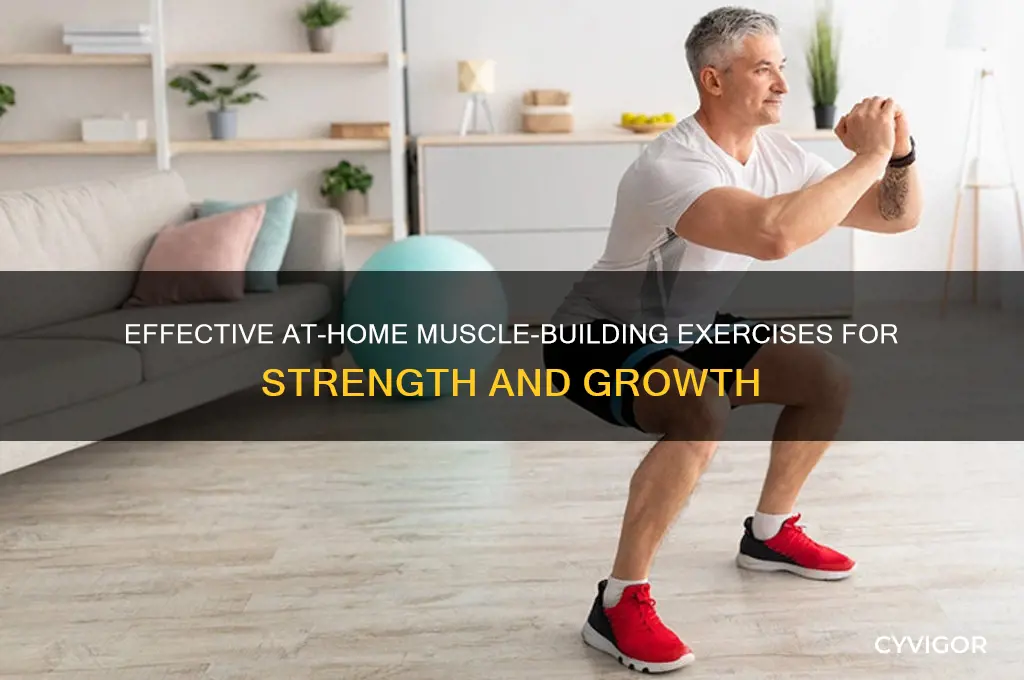 what at home exrcises can gain muscle