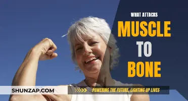 Attacking Muscle and Bone: What's the Harm?
