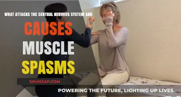Attacks on the Central Nervous System: Muscle Spasms Explained