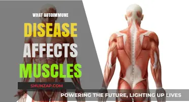 Unraveling the Mystery: Which Autoimmune Disease Targets Muscles?