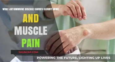 Autoimmune Disorders: Cloudy Urine and Muscle Pain