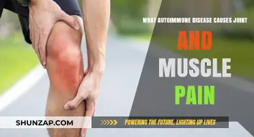 Autoimmune Disorders: Joint and Muscle Pain Causes