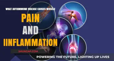 Muscle Pain and Inflammation: Autoimmune Diseases Explained