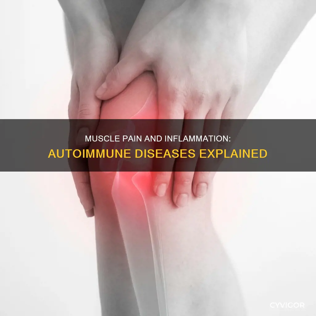 what autoimmune disease causes muscle pain and iinflammation