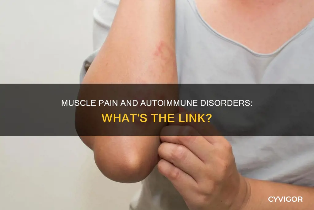 what autoimmune disease causes muscle pain