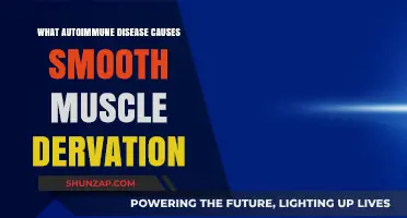 Smooth Muscle Denervation: Unraveling Autoimmune Diseases