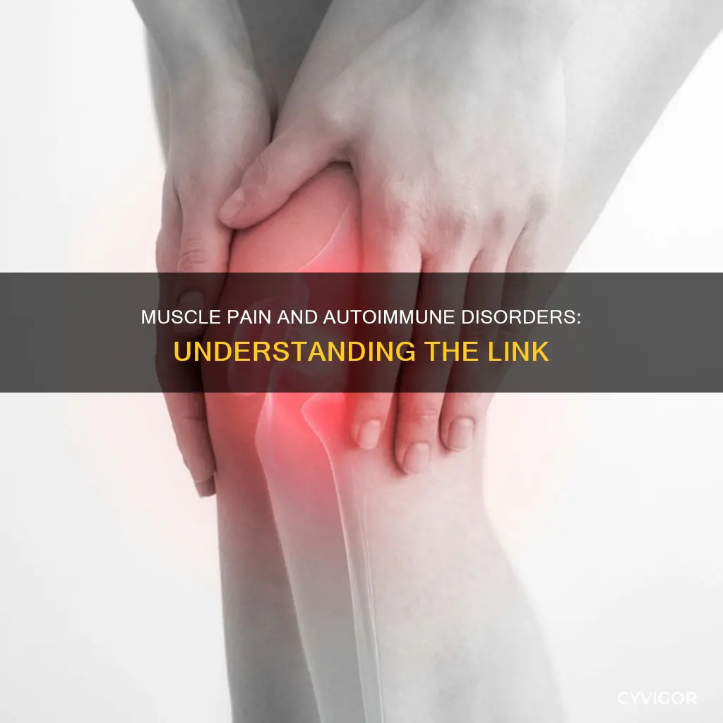 what autoimmune disease causes sore muscles