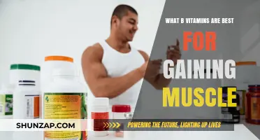 Boost Muscle Growth: Top B Vitamins for Strength and Recovery