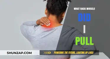 Identifying Pulled Back Muscles: Causes, Symptoms, and Recovery Tips