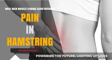 Back Muscle Strains: Hamstring Pain Referral