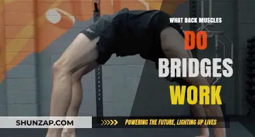Bridges Workout: Targeting and Strengthening Your Back Muscles Effectively