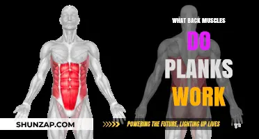 Plank Power: Unlocking the Back Muscles Strengthened by This Core Exercise