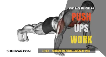 Push Ups: Unlocking Strength in Your Back Muscles