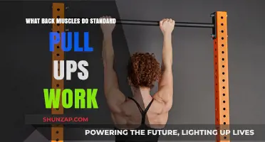 Pull-Ups Unpacked: Targeted Back Muscles in Standard Pull-Up Exercises