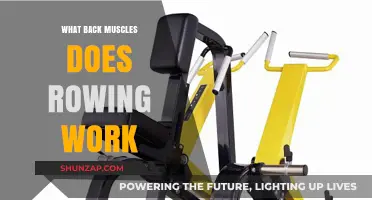Rowing's Impact: Targeted Back Muscles for Strength and Posture