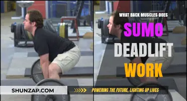Sumo Deadlift: Targeted Back Muscles and Strength Benefits Explained