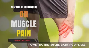 Understanding Back of Knee Pain: Ligament or Muscle Strain Causes