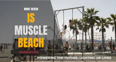 Muscle Beach: Where Is the Iconic Beach?