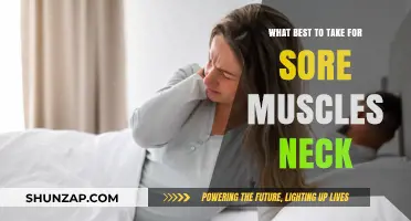 Effective Remedies for Relieving Sore Neck Muscles: Top Tips and Treatments