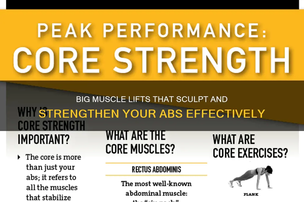 what big muscle lifts work the abs