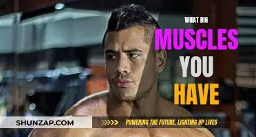 How to Build Big Muscles: A Comprehensive Guide