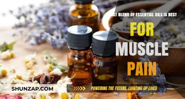 Best Essential Oil Blends for Muscle Pain Relief and Recovery