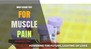 Understanding Muscle Pain: Key Blood Tests to Diagnose the Cause