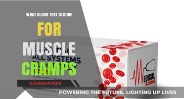 Unraveling the Mystery: Blood Tests to Diagnose Muscle Cramps