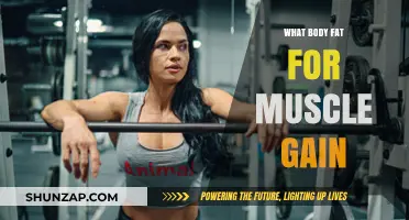 Optimal Body Fat Percentage for Effective Muscle Gain Strategies