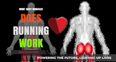 Running's Impact: Key Muscles Engaged and Strengthened Explained