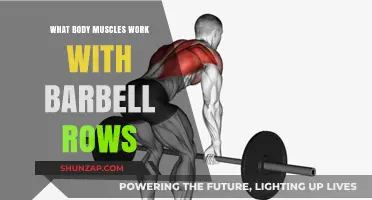 Barbell Rows: Target Muscles and Full-Body Strength Benefits Explained