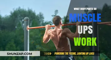 Muscle Ups: Targeted Body Parts and Strength Benefits Explained