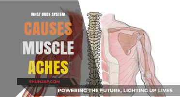 The Mystery of Muscle Aches: Unveiling the Systemic Culprit