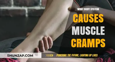 Understanding Muscle Cramps: The Nervous System's Role