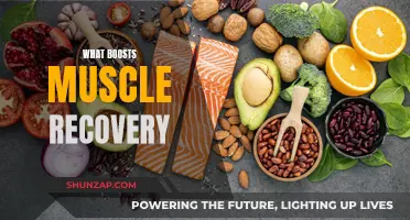 Muscle Recovery: Strategies for Optimal Performance and Results