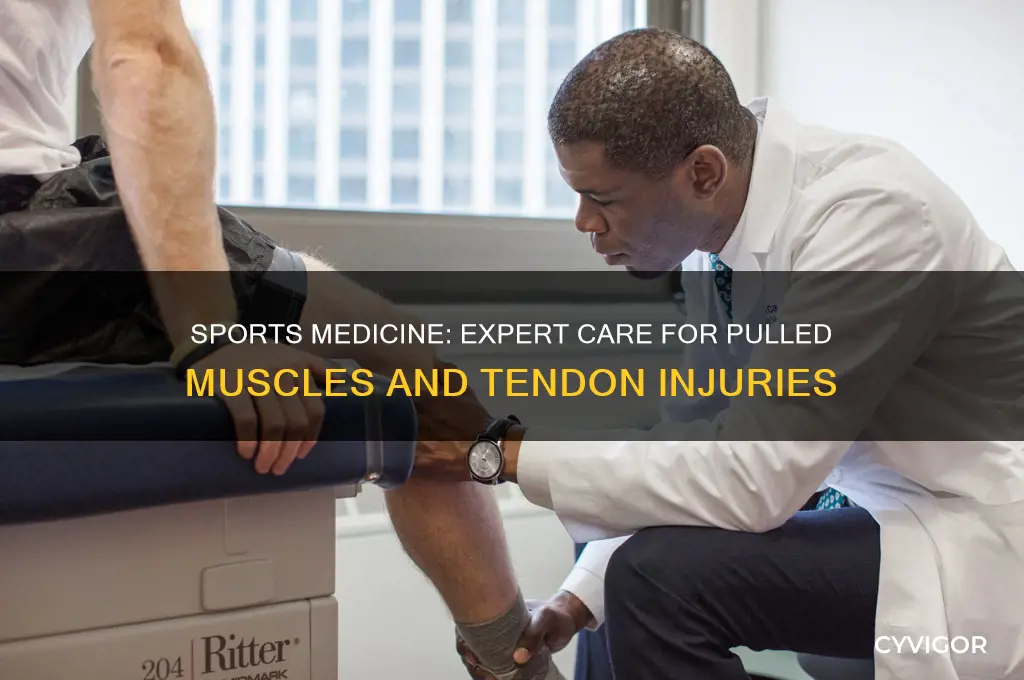 what branch of medicine treats pulled muscles and tendons