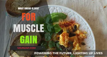 Best Breads for Muscle Gain: Fuel Your Fitness Goals