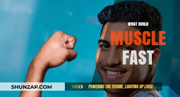 Unlocking Rapid Muscle Growth: A Comprehensive Guide
