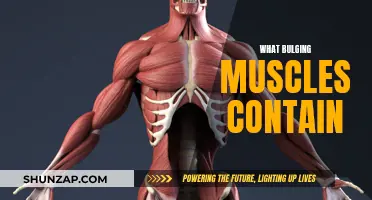 Bulging Muscles: What's Inside and Why?