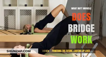 Bridge Exercise Benefits: Targeting Glutes for Strength and Stability