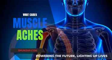 Muscle Aches: Common Causes and How to Treat Them