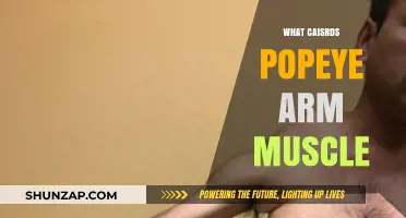 Popeye's Arm Muscle: Unraveling the Science Behind His Iconic Strength